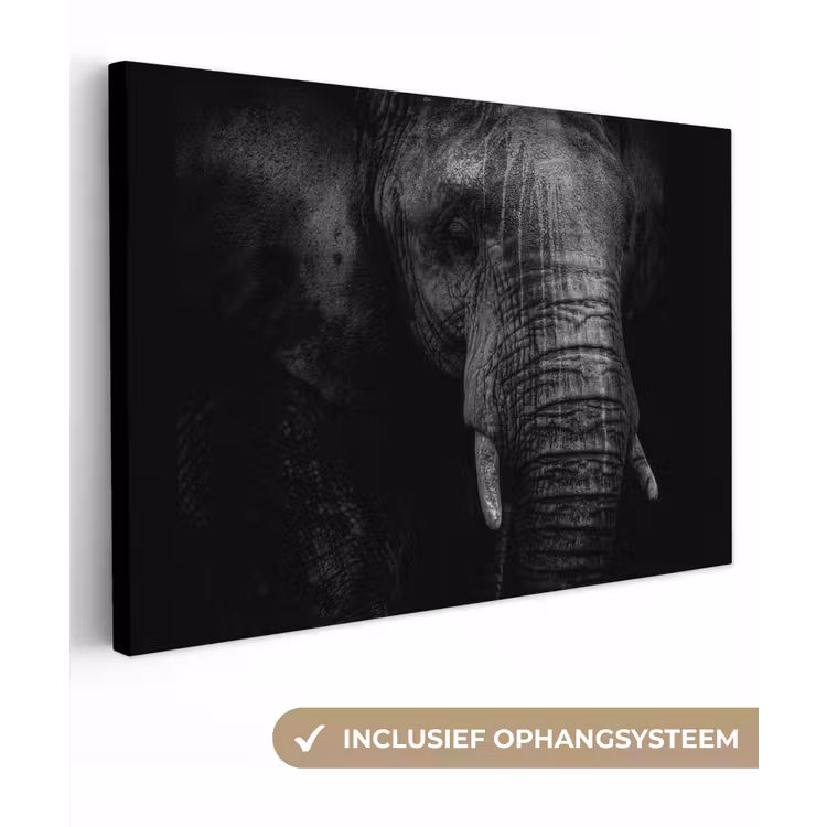 Olifant - Dier - Portret canvas 2cm klein -3d