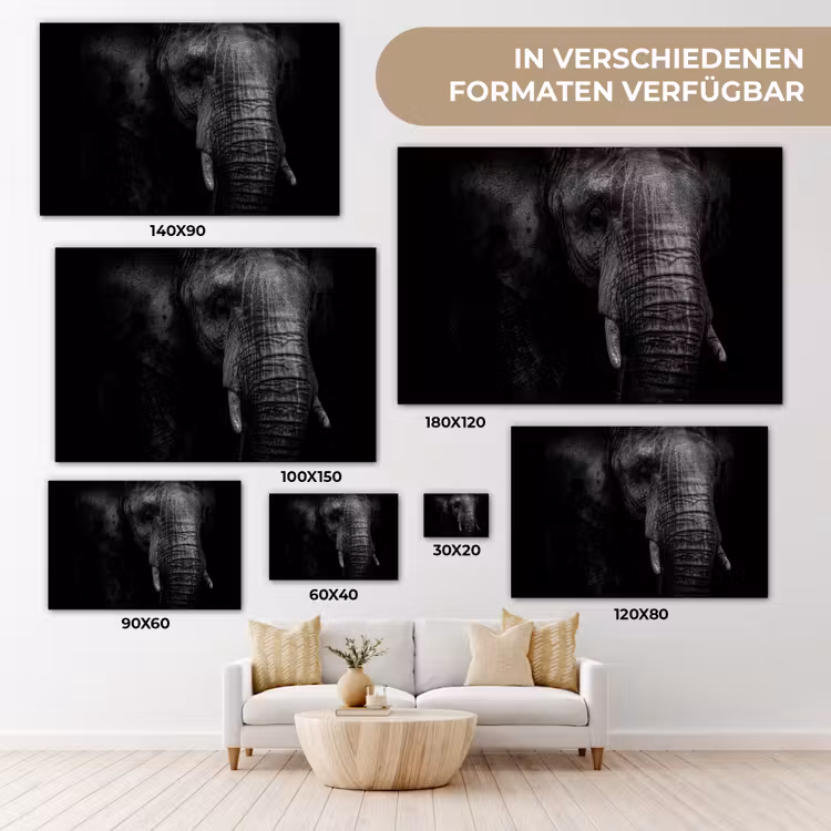 Olifant - Dier - Portret canvas 2cm klein -Xsfeer8_DE