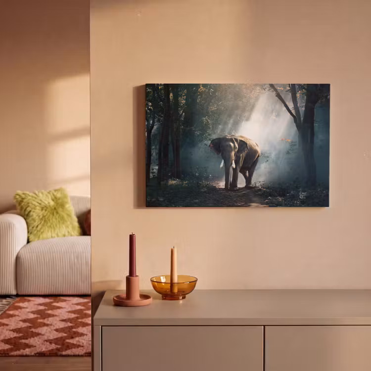 Olifant - Dieren - Licht - Bos - Natuur - Wilde dieren canvas 2cm klein -sfeer1
