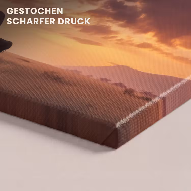 Olifanten - Grasland - Zonsondergang canvas 2cm klein -closeup_print_DE