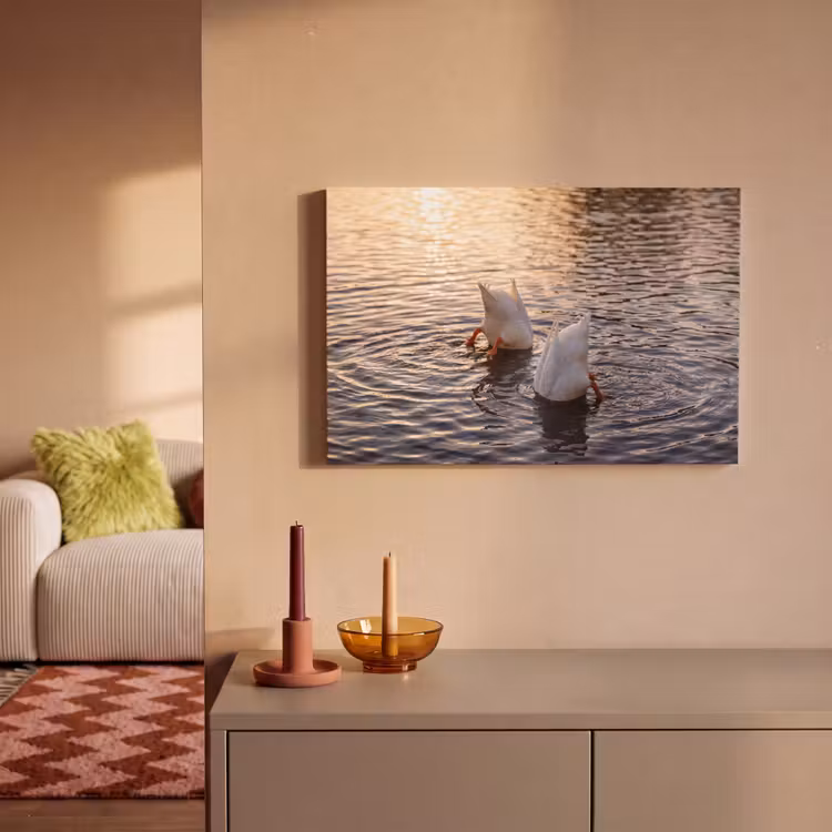 Eenden - Water - Natuur canvas 2cm klein -sfeer1