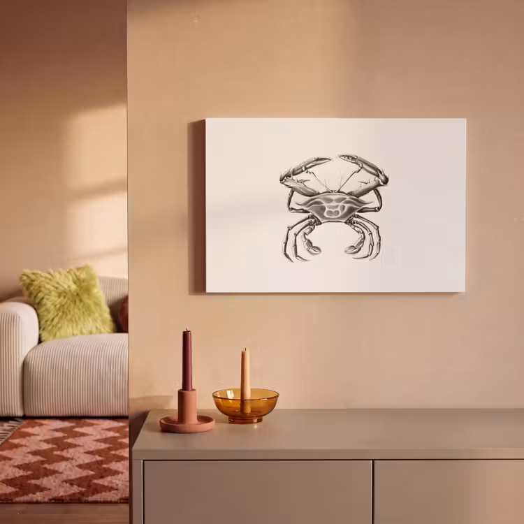 Ernst Haeckel - Vintage - Kunst - Krab canvas 2cm klein -sfeer1
