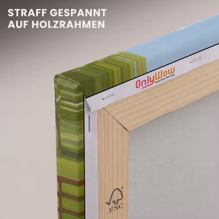 Ezels - Ganzen - Kleurrijk canvas 2cm klein -uniquesellingpoint_afwerking-onlywow_DE