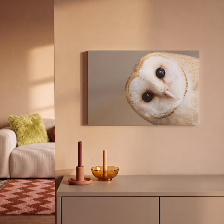 Uil - Bruin - Wit canvas 2cm klein -sfeer1
