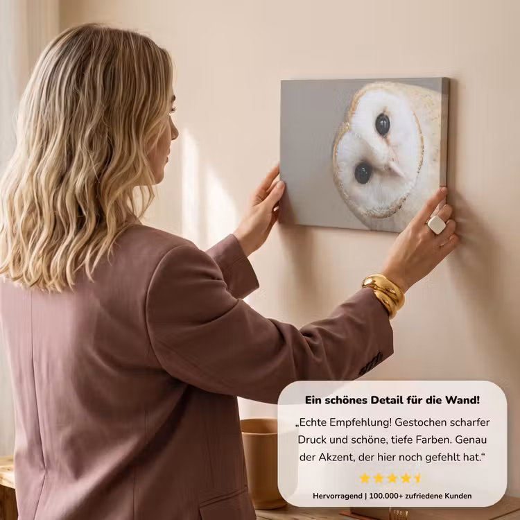 Uil - Bruin - Wit canvas 2cm klein -Xsfeer7_DE