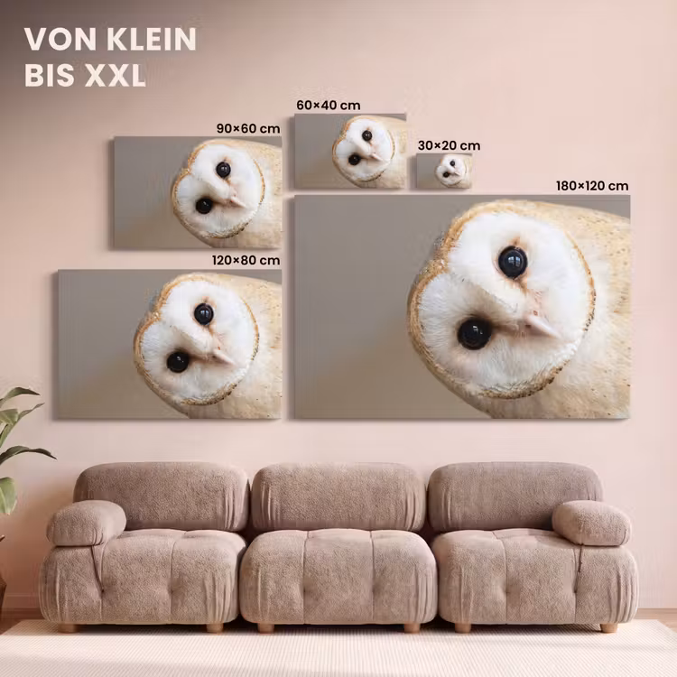Uil - Bruin - Wit canvas 2cm klein -Xsfeer8_DE