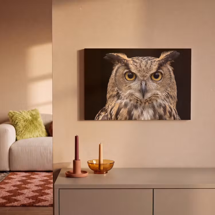 Oehoe - Uil - Portret - Bruin canvas 2cm klein -sfeer1