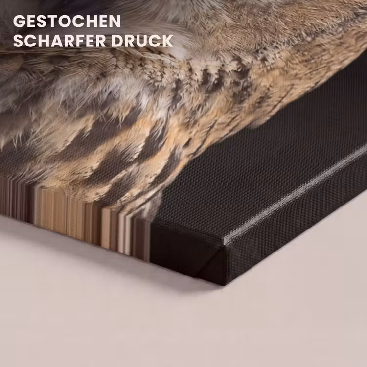 Oehoe - Uil - Portret - Bruin canvas 2cm klein -closeup_print_DE