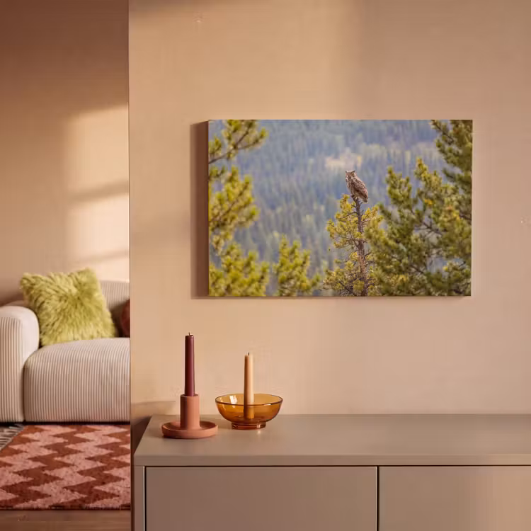 Uil - Oehoe - Bomen - Natuur canvas 2cm klein -sfeer1