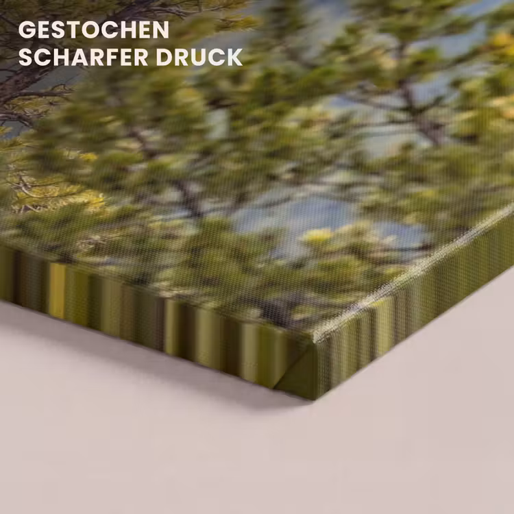 Uil - Oehoe - Bomen - Natuur canvas 2cm klein -uniquesellingpoint_afwerking-onlywow_DE