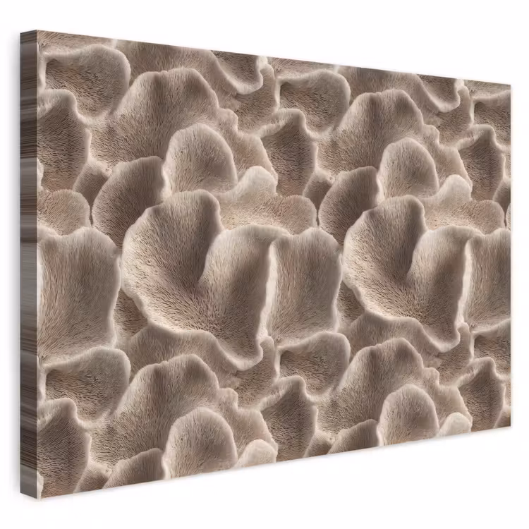 Waaiervorm - Beige - Vezel textuur canvas 2cm klein 34 -3d