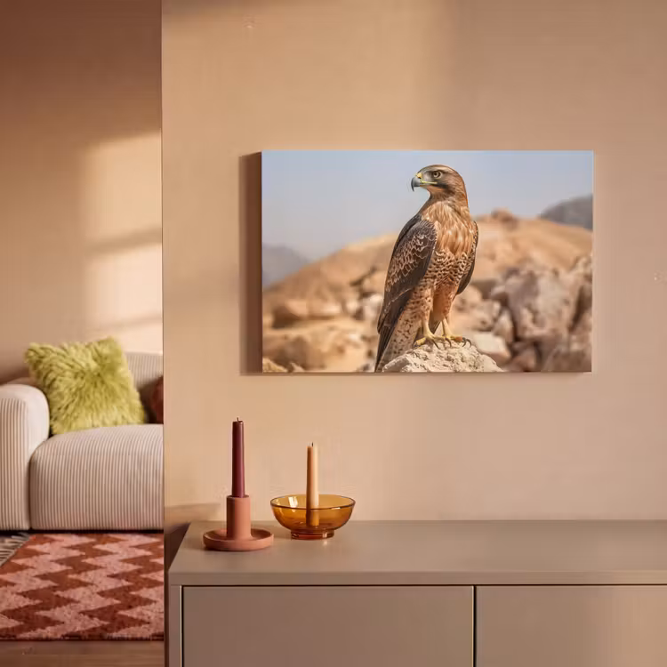 Valk - Vogel - Rots - Macht canvas 2cm klein -sfeer1