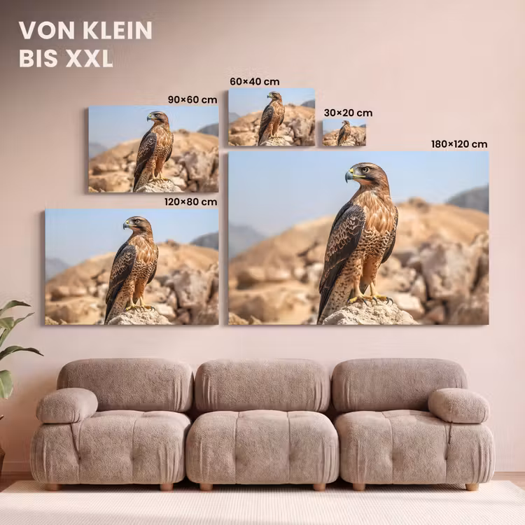 Valk - Vogel - Rots - Macht canvas 2cm klein -Xsfeer8_DE