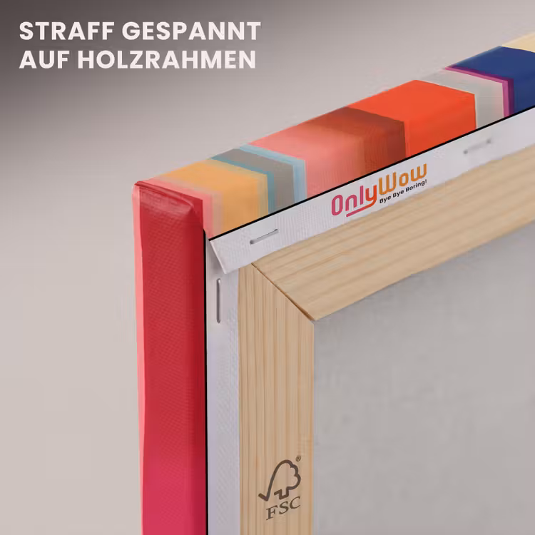 Kleurbanen - Verticaal - Kleurrijk canvas 2cm klein -uniquesellingpoint_afwerking-onlywow_DE