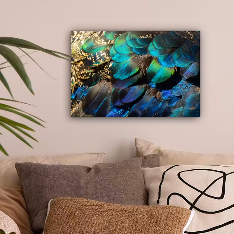 Veren - Pauwveren - Pauw - Blauw - Kunst canvas 2cm klein -sfeer1