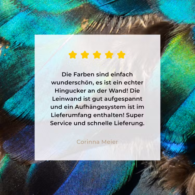 Veren - Pauwveren - Pauw - Blauw - Kunst canvas 2cm klein -Xsfeer7_DE