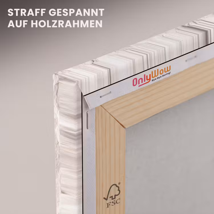 Rots - Structuur - Natuur - Beige - Abstract canvas 2cm klein -uniquesellingpoint_afwerking-onlywow_DE