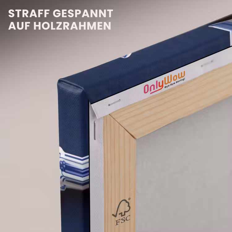 Vissen - Delfts - Blauw - Keramiek canvas 2cm klein -uniquesellingpoint_afwerking-onlywow_DE