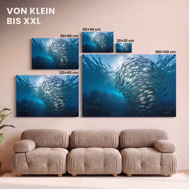 Vis - School - Oceaan - Natuur - Blauw canvas 2cm klein -Xsfeer8_DE