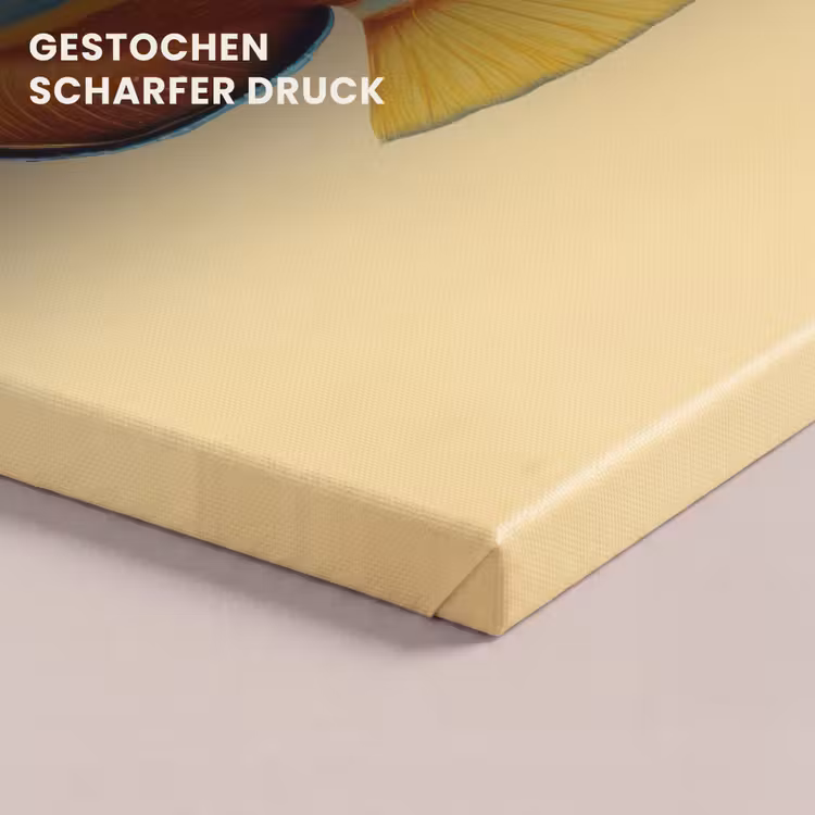 Vis - Vinnen - Blauw - Ogen canvas 2cm klein -uniquesellingpoint_afwerking-onlywow_DE