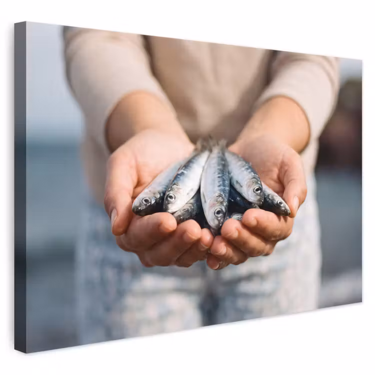 Leinwandbild - Fisch – Hände – Natur - Vis - Handen - Natuur canvas 2cm klein