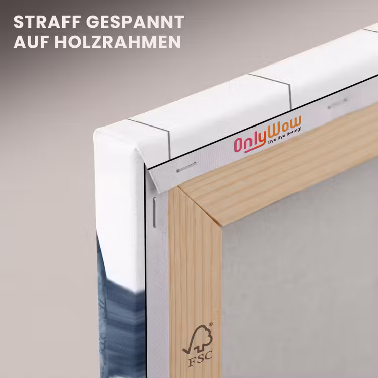 Vissen - Illustratie - Delfts - Blauw canvas 2cm klein -uniquesellingpoint_afwerking-onlywow_DE