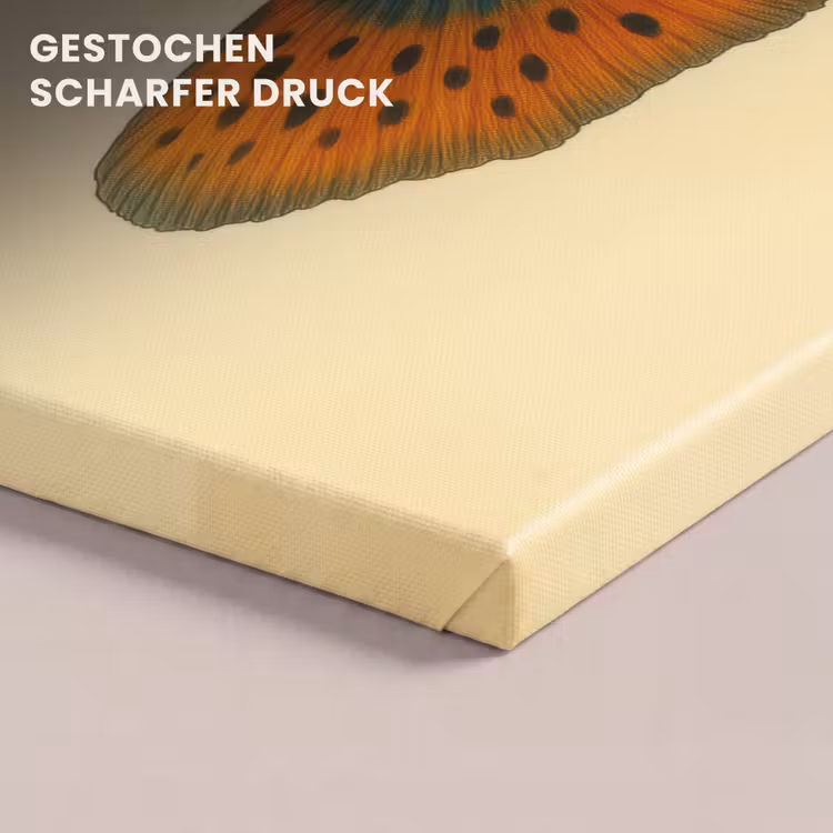 Vis - illustratie - Stippen - Oranje canvas 2cm klein -uniquesellingpoint_afwerking-onlywow_DE