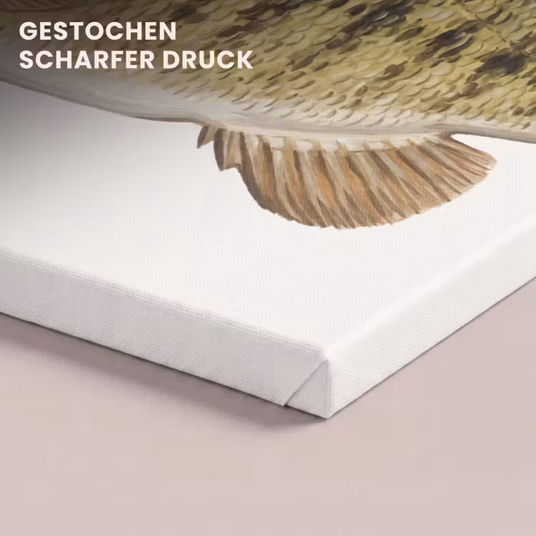 Vissen - Natuur - Vintage canvas 2cm klein -closeup_print_DE