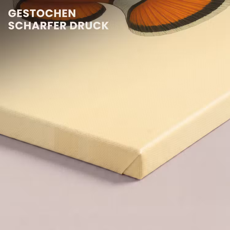 Vis - Oranje - Strepen canvas 2cm klein -uniquesellingpoint_afwerking-onlywow_DE