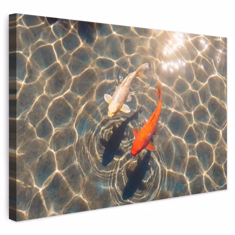 Vis - Water - Dieren - Oranje - Goud canvas 2cm klein -3d
