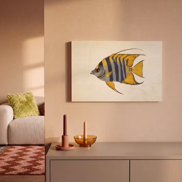 Vis - Sierlijk - Vinnen - Illustratie canvas 2cm klein -sfeer1