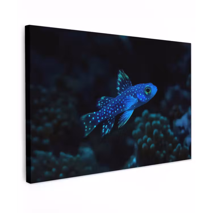 Vis - Stippen - Koraal - Blauw canvas 2cm klein -z3d