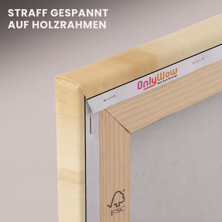 Vis - Tropisch - Strepen - Vinnen canvas 2cm klein -uniquesellingpoint_afwerking-onlywow_DE