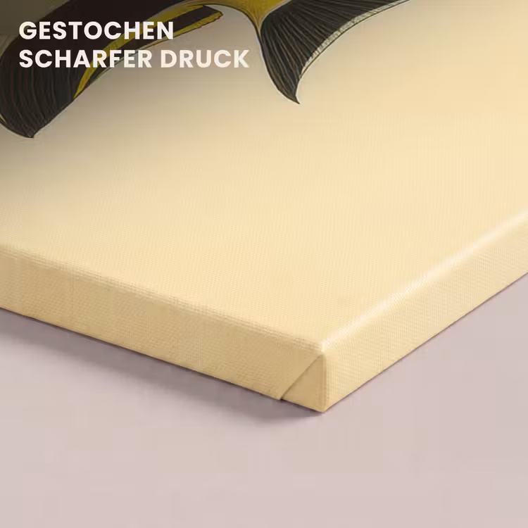 Vis - Sierlijk - Rugvin - Geel canvas 2cm klein -closeup_print_DE