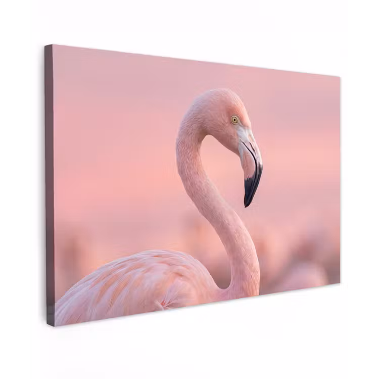 Flamingo - Portret - Roze canvas 2cm klein -z3d