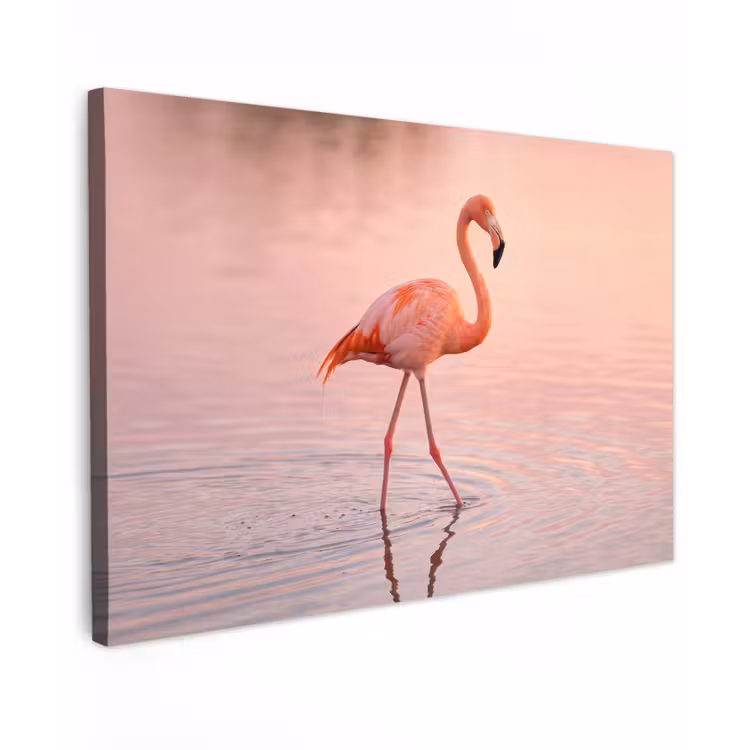 Flamingo - Water - Roze canvas 2cm klein -z3d
