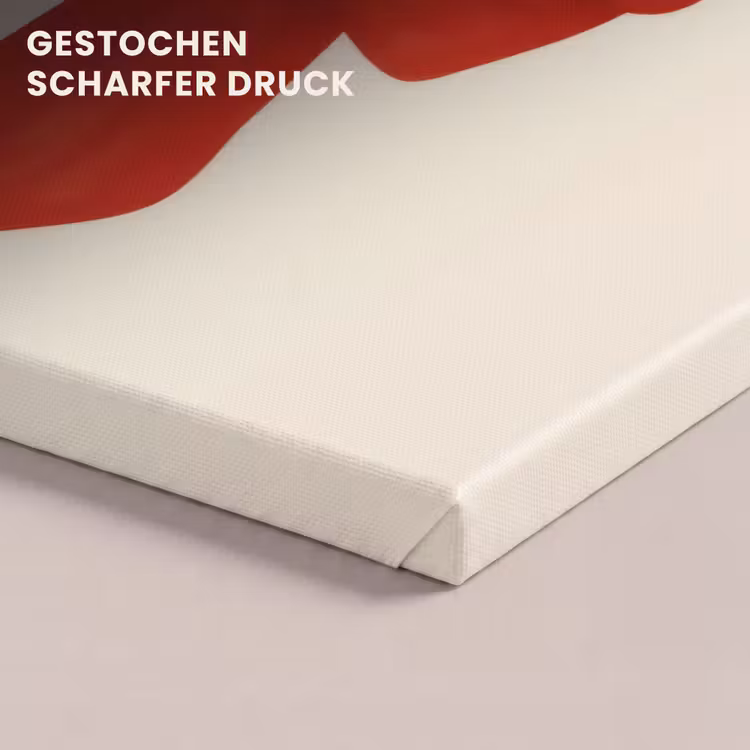 Strik - Symmetrisch - Rood - Lint canvas 2cm klein -uniquesellingpoint_afwerking-onlywow_DE