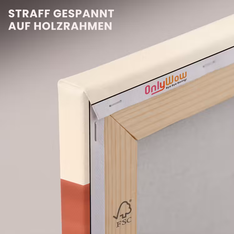 Vormen - Abstract - Kleurrijk canvas 2cm klein -uniquesellingpoint_afwerking-onlywow_DE