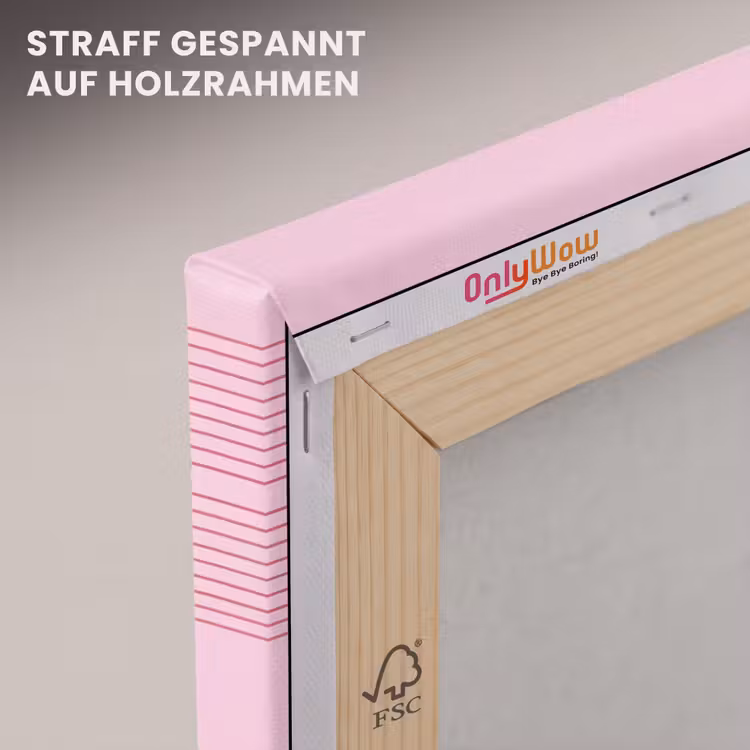 Vormen - Lijnen - Minimalistisch - Roze canvas 2cm klein -uniquesellingpoint_afwerking-onlywow_DE