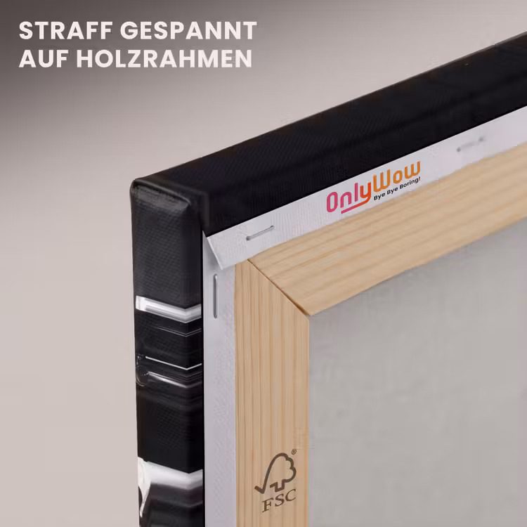 Fotografen - Menigte - Flitsers - Journalistiek canvas 2cm klein -uniquesellingpoint_afwerking-onlywow_DE