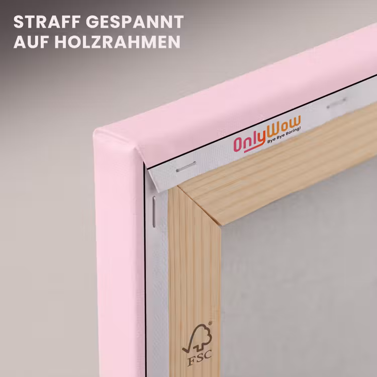 Vrouw - Schelp - Kunst - Lijntekening - Roze canvas 2cm klein -uniquesellingpoint_afwerking-onlywow_DE