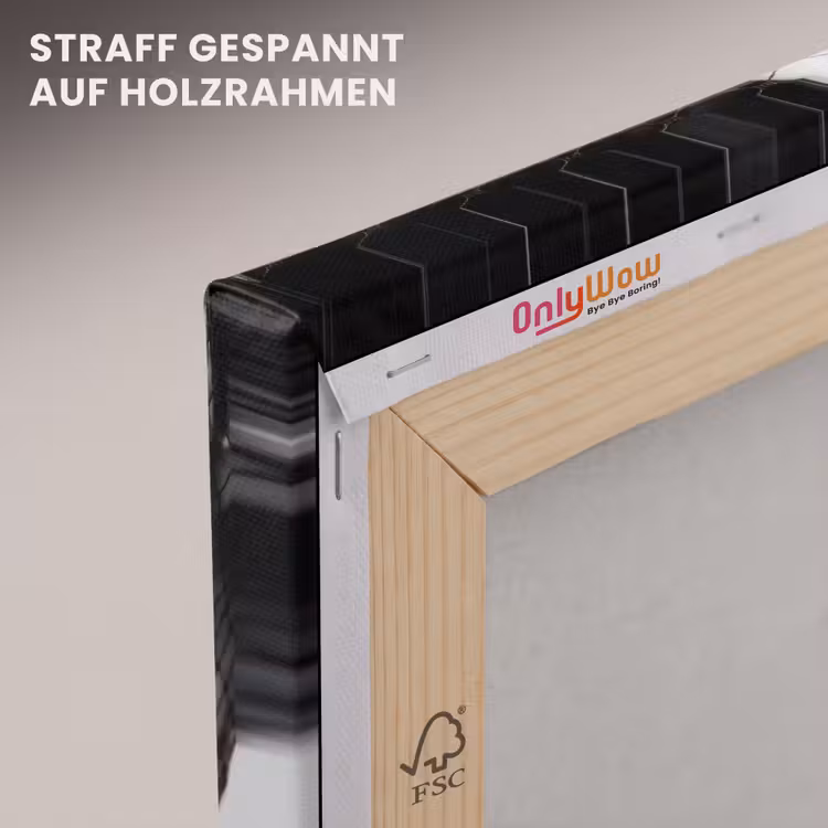 Vrouw - Net - Mysterieus - Zwart - Wit canvas 2cm klein -uniquesellingpoint_afwerking-onlywow_DE