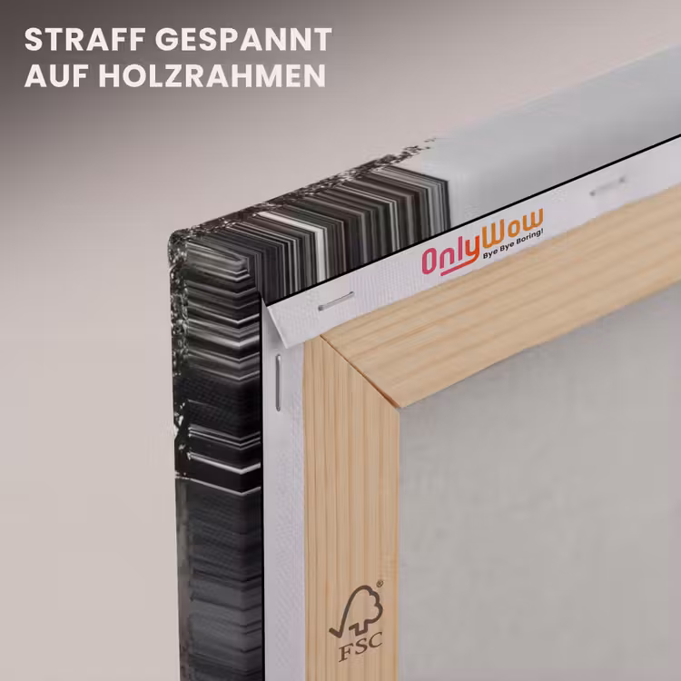 Vrouw - Paard - Artistiek canvas 2cm klein -uniquesellingpoint_afwerking-onlywow_DE
