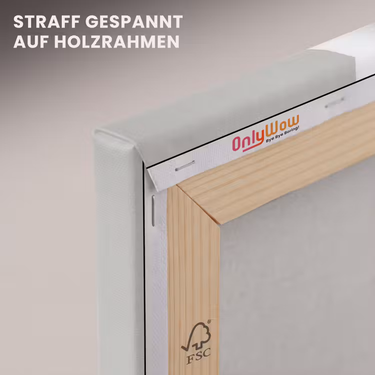 Vrouw - Profiel - Hoed - Zwart - Wit - Minimalistisch canvas 2cm klein -uniquesellingpoint_afwerking-onlywow_DE