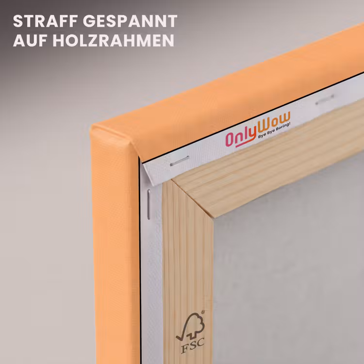 Vrouw - Profiel - Mensen - Modern - Oranje canvas 2cm klein -uniquesellingpoint_afwerking-onlywow_DE