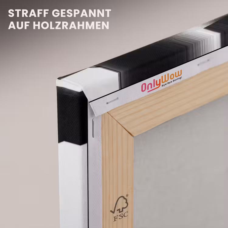 Vrouw - Schaduw - Zwart - Wit - Mysterieus canvas 2cm klein -uniquesellingpoint_afwerking-onlywow_DE