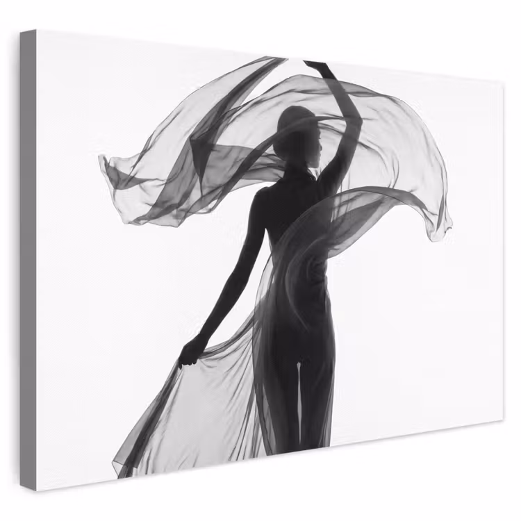 Vrouw - Sluier - Portret - Zwart - Wit - Artistiek canvas 2cm klein -3d
