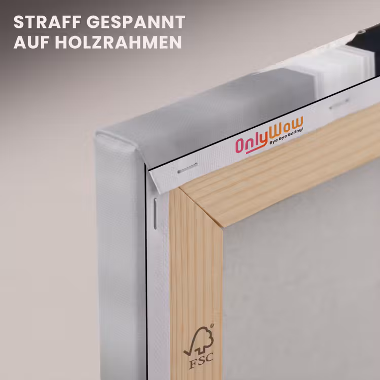 Vrouw - Zwaan - Wit canvas 2cm klein -uniquesellingpoint_afwerking-onlywow_DE