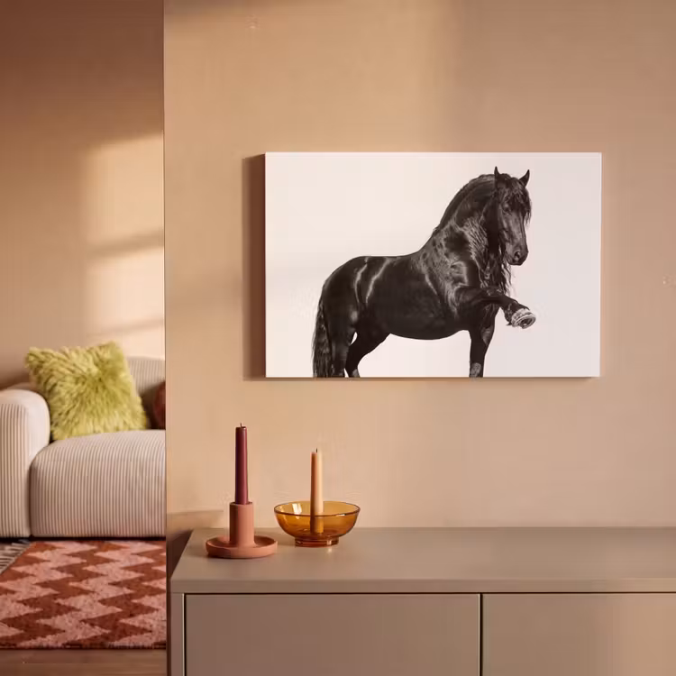 Fries - Hengst - Modern canvas 2cm klein -sfeer1