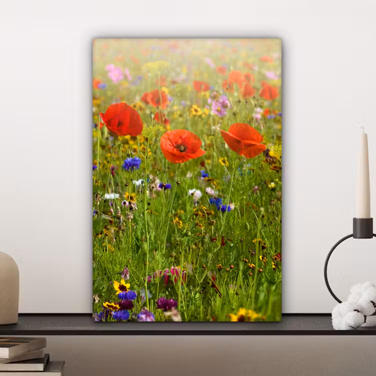 Lente - Bloemen - Rood - Klaproos - Gras - Groen canvas 2cm klein -closeup_print_DE